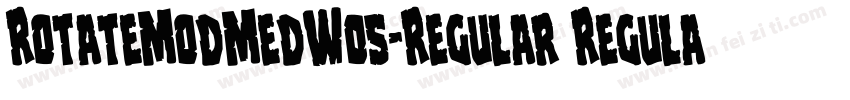 RotateModMedW05-Regular Regular字体转换